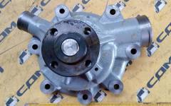 Насос водяной (помпа) 1000054019