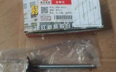 Клапан выпускной XINCHAI A495/A498 CDM308/312 495B-03015